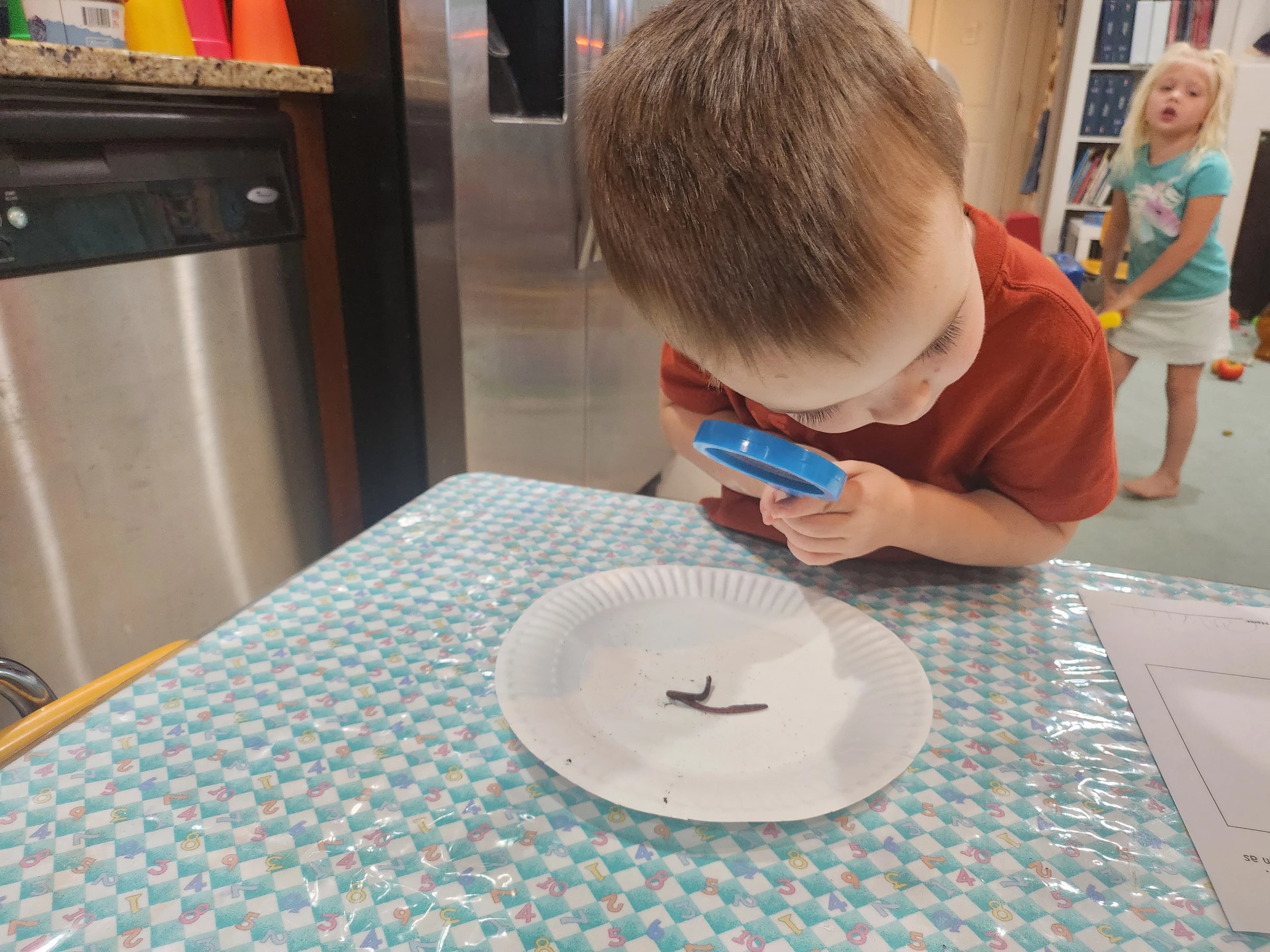 kid looking at worm